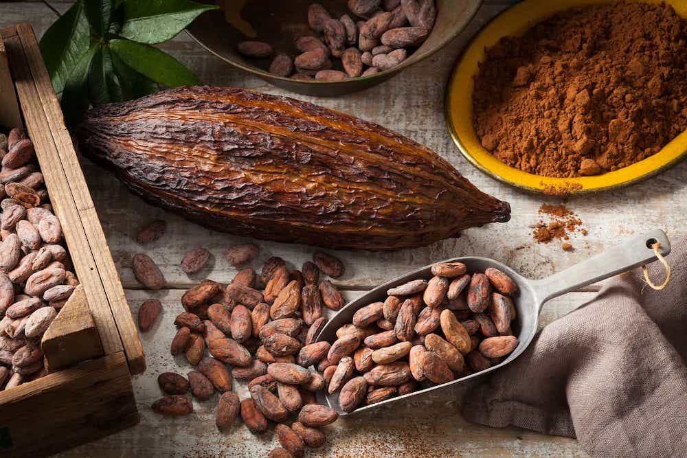 Cocoa beans - Intelligent drying machine project